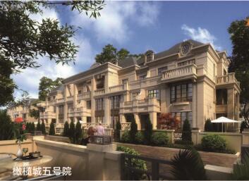 橄欖城五號(hào)院安裝木質(zhì)防火門